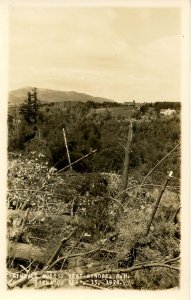 NH - Rindge. Kimball Woods, Tornado Damage Sept. 13, 1928. RPPC