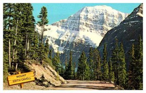 Postcard HIGHWAY SCENE State of Alberta AB AT5855