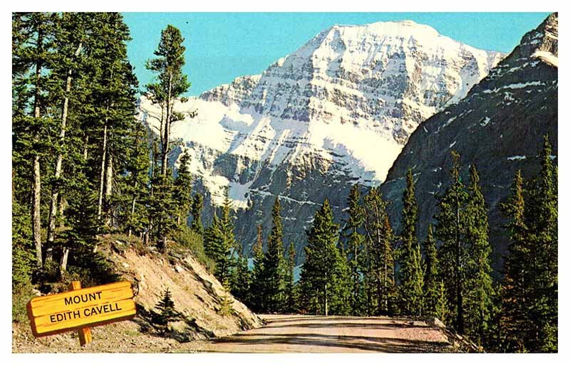 Postcard HIGHWAY SCENE State of Alberta AB AT5855