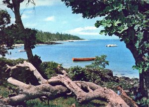 VINTAGE CONTINENTAL SIZE POSTCARD ISLAND OF MAURITIUS TRANQUIL BEACH