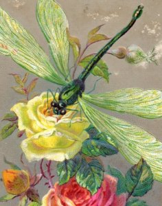 1880s Embossed Victorian Christmas Die-Cut Dragonfly & Roses P178