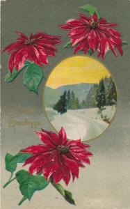 Christmas Greetings Poinsettias - DB