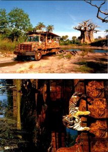 2~4X6 Postcards  FL, Florida  DISNEY'S ANIMAL KINGDOM  Safari Truck Tour & Tiger