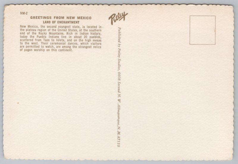 New Mexico~Flower Scene Roadrunner & State Flag~Continental Postcard