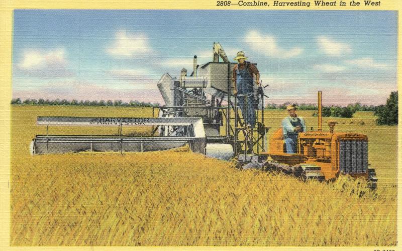 US    PC973  COMBINE, HARVESTING WHEAT IN THE WEST