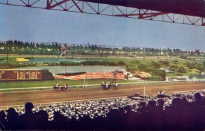 CA - Inglewood. Hollywood Park Race Track, Horse Racing