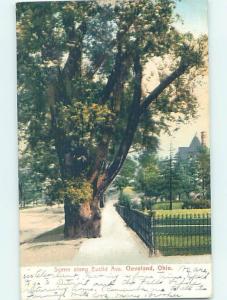 Pre-1907 STREET SCENE Cleveland Ohio OH W2434