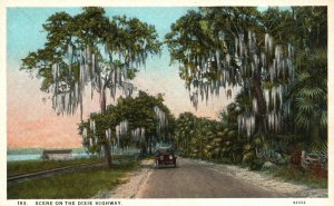 Vintage Postcard 1920's Scene On The Dixie Highway Miami to Montreal Highway Fla