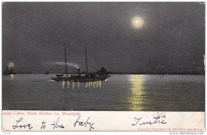 NEW YORK, PU-1905; New York Harbor By Moonlight