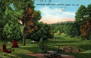 Peoria Illinois IL Detweiler Park Picnic Grounds Vintage Postcard 