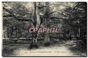 Postcard Old Tree Forest of Fontainebleau The charm Oak