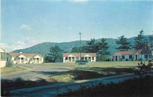 NC, Asheville, North Carolina, Buena Vista Motel, Dexter Press 39058