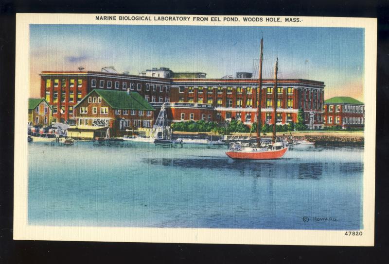 Woods Hole, Massachusetts/Mass/MA Postcard, Maine Biological Laboratry, Cape Cod