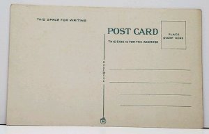 Buffalo NY Main St Looking South from Chippewa Postcard G8