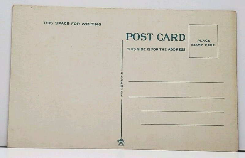 Buffalo NY Main St Looking South from Chippewa Postcard G8