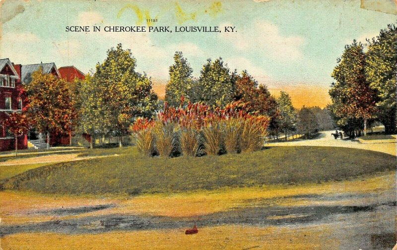 LOUISVILLE KENTUCKY~SCENE IN CHEROKEE PARK~1910s POSTCARD