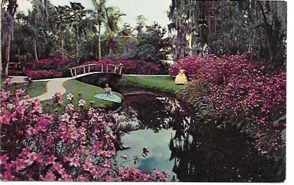 US Unused. Cypress Gardens, Florida - Floral Array