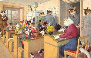F60/ Alfred Mainzer Dressed Cats Postcard c1940s School Classroom 7