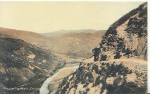 Wales Postcard - Precipice Walk - Dolgelly - Merionethshire - Ref TZ4236