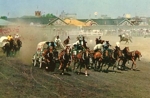 Chuckwagon Races