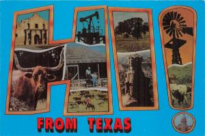 BG13837 from texas multi views types cow vache windmill  usa