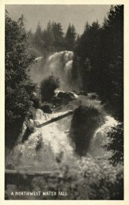 Vintage Postcard 1920's A Northwest Water Fall U.S. Forest Service