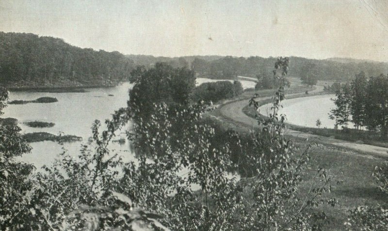 C.1910 Duck and Spot Pond, Stoneham, Mass. Postcard P175