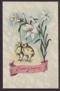 Easter Greetings,Lilies,Chicks Postcard
