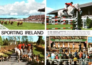 Horses Sporting Ireland