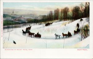 Sleighing in Mount Royal Park Montreal QC Quebec Horses Sled UNUSED Postcard D86