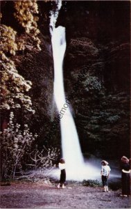 Horsetail Falls Columbia River Highway Oregon Postcard PC339