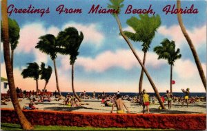 Florida Greetings From Miami Beach Sun and Surf Bathing