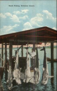 Hawaii HI Shark Fishing c1910 Postcard