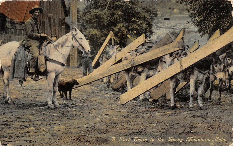 Burro Pack Train Horse Rider Rocky Mountains Colorado 1919 postcard