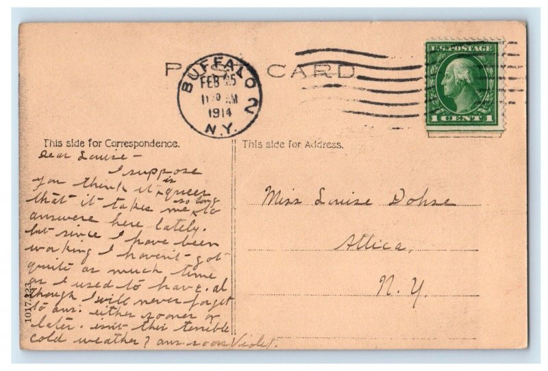 1914 Johnson Park Scenic View Buffalo New York NY Vintage Posted Postcard 