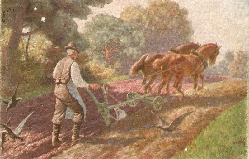 Farnwer and horses. Tilling the land Old vintage, artist drawn postcard