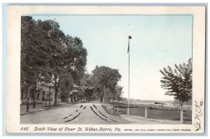 C1905 South View River St Road Park Flag pole Wilkes Barre Pennsylvania Postcard 