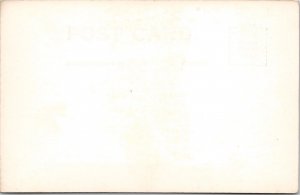 RPPC Washington Monument and Cherry Blossoms Postcard Z14