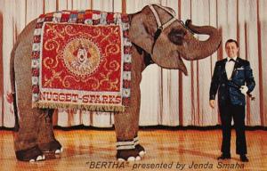 Elephants Little Bertha Performing Elephant John Ascuaga's N...