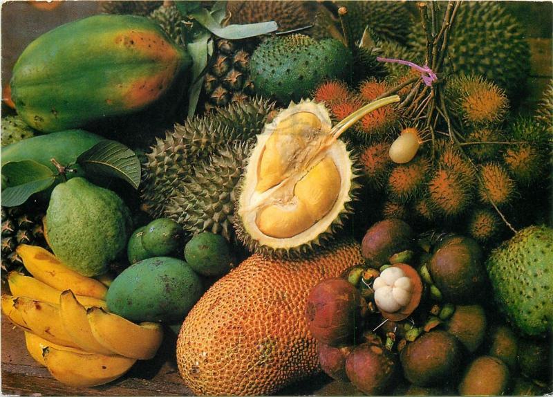 Malaysian fruits Malaysia postcard