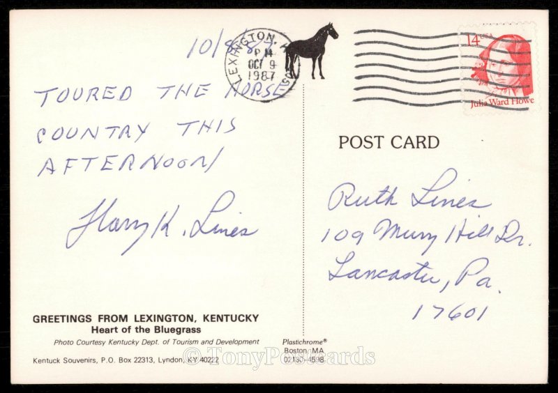 Horse Barn- Greetings from Lexington