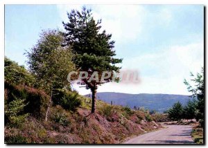 Modern Postcard The Correze Tourist Landscape Chex Us is flowery Bruyere