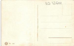 BG33601 parrot   catharina klein  nice artist signed