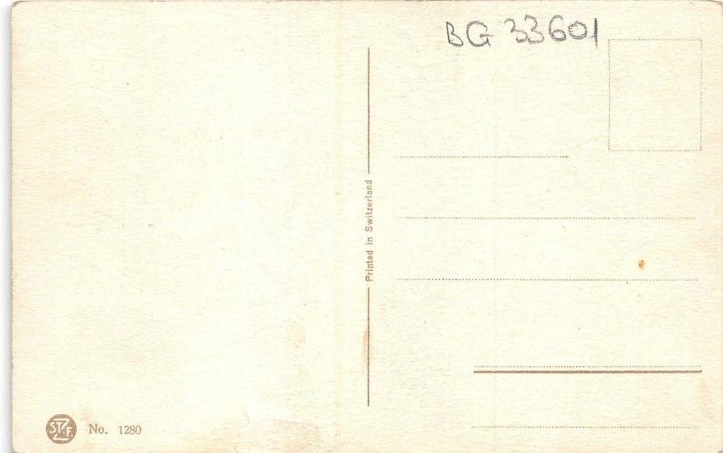 BG33601 parrot   catharina klein  nice artist signed