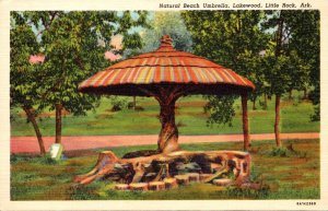 Arkansas Little Rock Lakewood Natural Beach Umbrella Curteich