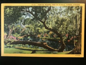 Vintage Postcard 1937 Wishing Tree Cypress Gardens Winter Haven Florida (FL)