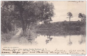 Mirror Lake looking South, Herkimer, New York, 1905 PU