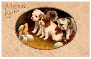 Dog ,  Puppies and Hatchlings , Joyous Easter