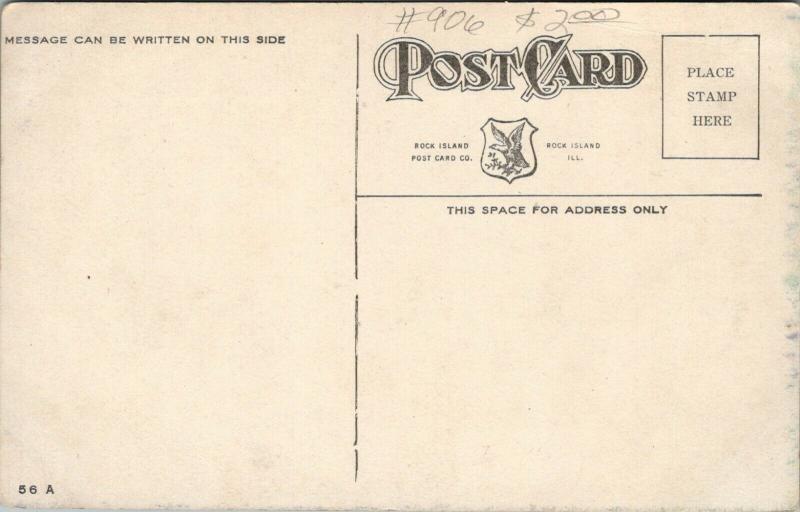 Moline IL Planters on Parking~Wide Wagon~Trolley Trax~5th Ave~Furniture~c1910