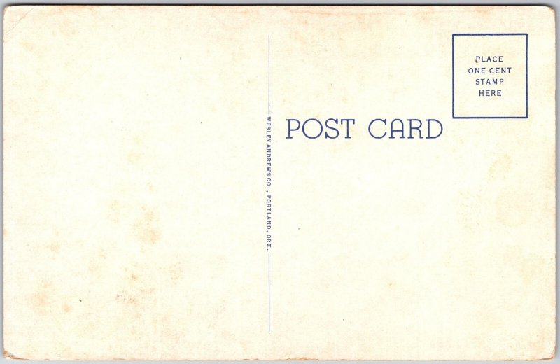 Columbia River Highway Oregon OR, Rock Tunnel, Oneonta Gorge, Vintage Postcard